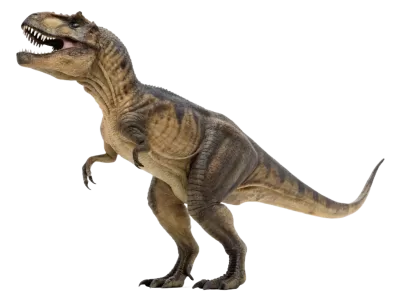 Imagen PNG para descargar